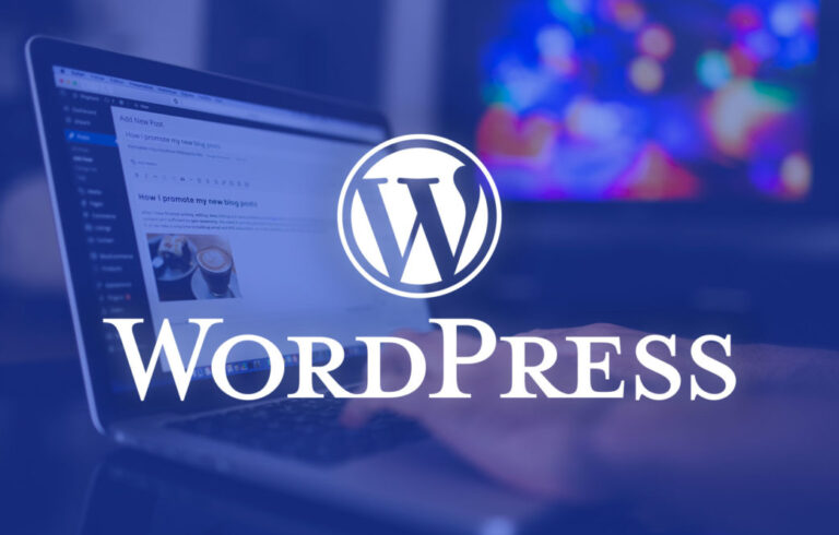 ILS WordPress Web Tasarım Ajansı ile Tanışın