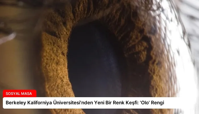Berkeley Kaliforniya Üniversitesi’nden Yeni Bir Renk Keşfi: ‘Olo’ Rengi
