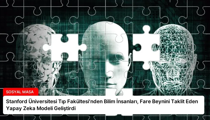 Stanford Üniversitesi Tıp Fakültesi’nden Bilim İnsanları, Fare Beynini Taklit Eden Yapay Zeka Modeli Geliştirdi