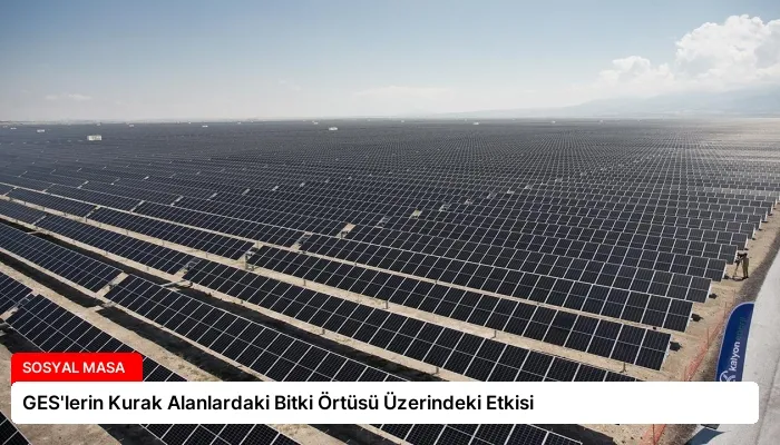 GES’lerin Kurak Alanlardaki Bitki Örtüsü Üzerindeki Etkisi