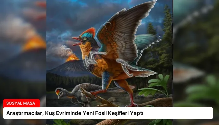 Araştırmacılar, Kuş Evriminde Yeni Fosil Keşifleri Yaptı