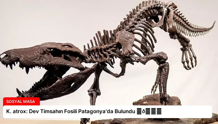 K. atrox: Dev Timsahın Fosili Patagonya’da Bulundu ⏬👇