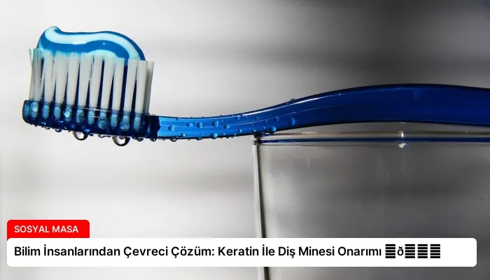Bilim İnsanlarından Çevreci Çözüm: Keratin İle Diş Minesi Onarımı ⏬👇