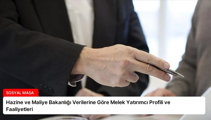 Hazine ve Maliye Bakanlığı Verilerine Göre Melek Yatırımcı Profili ve Faaliyetleri