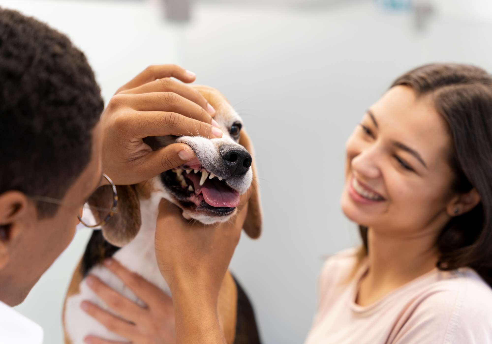 Alanında Deneyimli Veteriner Hekim Kadrosu