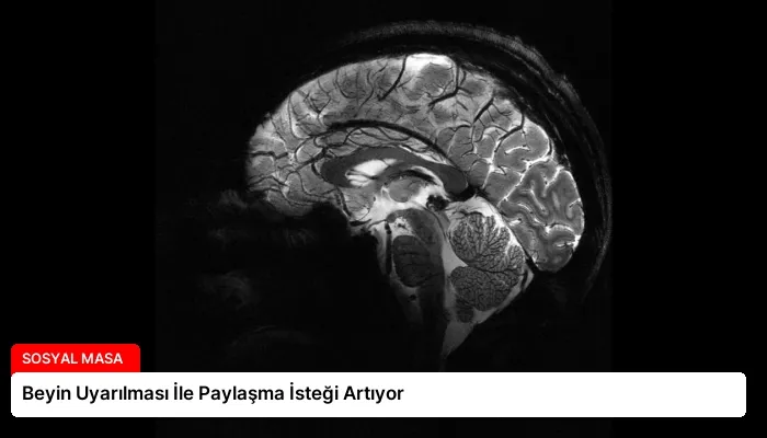 Beyin Uyarılması İle Paylaşma İsteği Artıyor