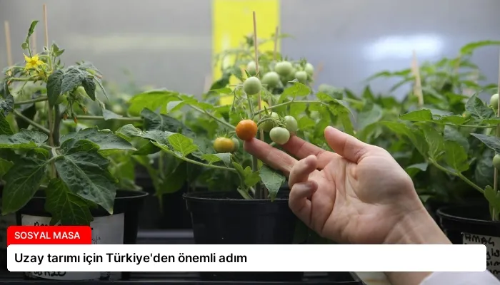 Uzay tarımı için Türkiye’den önemli adım