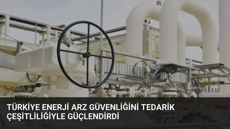 Türkiye Enerji Arz Güvenliğini Tedarik Çeşitliliğiyle Güçlendirdi