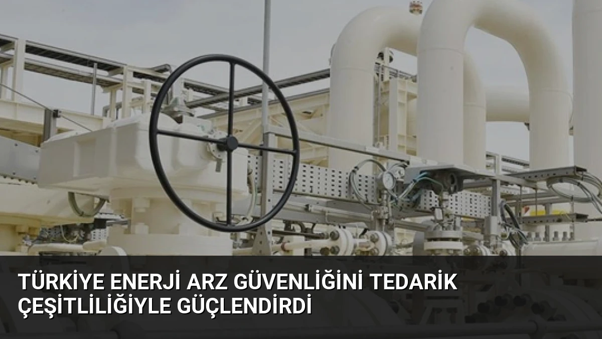 Türkiye Enerji Arz Güvenliğini Tedarik Çeşitliliğiyle Güçlendirdi