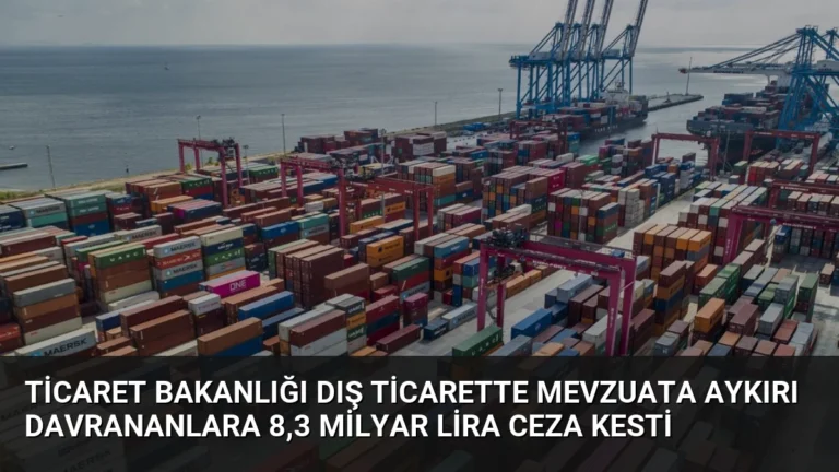 Ticaret Bakanlığı Dış Ticarette Mevzuata Aykırı Davrananlara 8,3 Milyar Lira Ceza Kesti