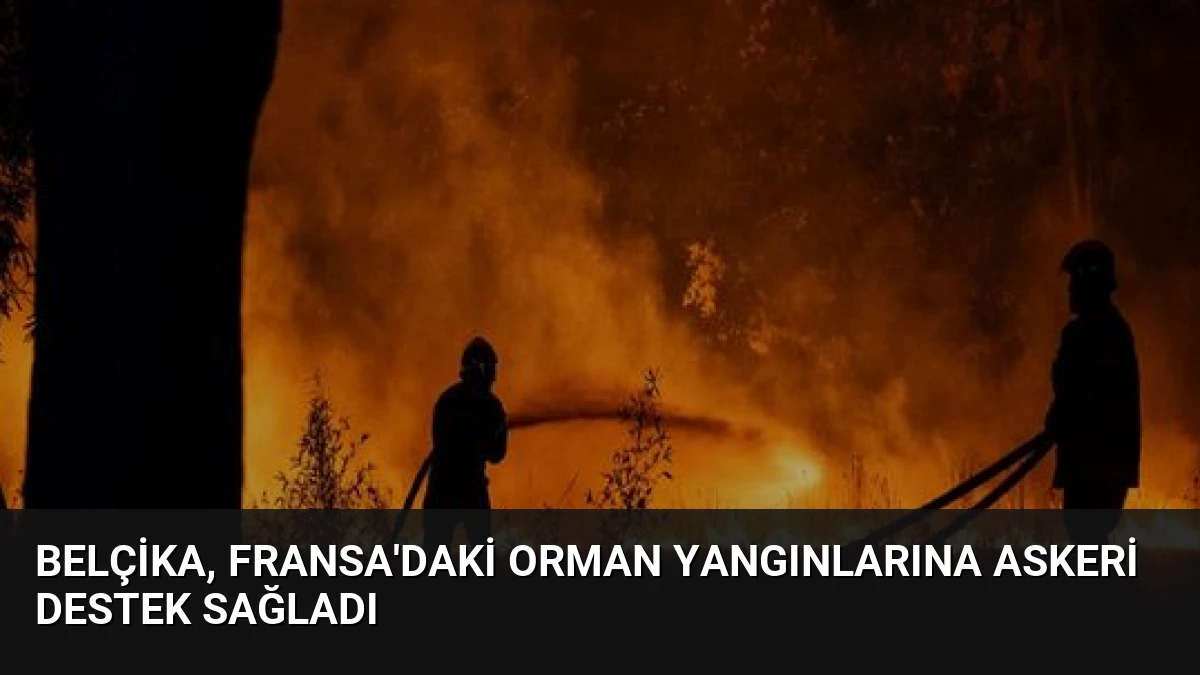 Belçika, Fransa’daki Orman Yangınlarına Askeri Destek Sağladı