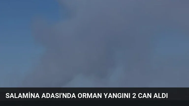 Salamina Adası’nda Orman Yangını 2 Can Aldı