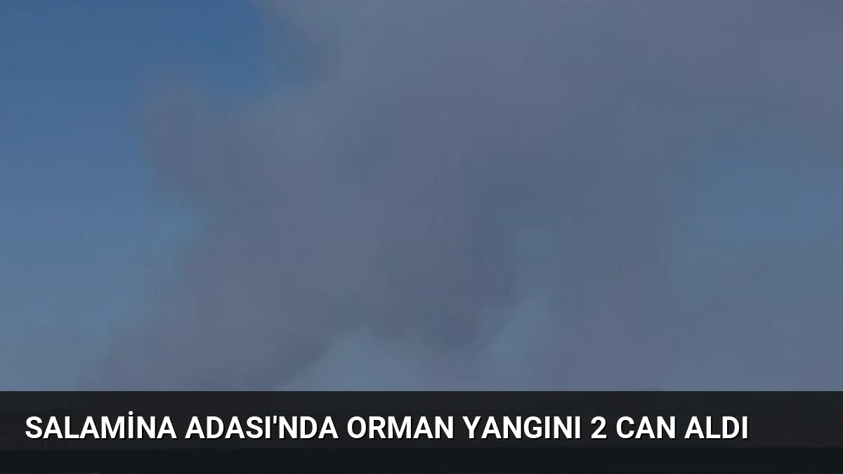 Salamina Adası’nda Orman Yangını 2 Can Aldı