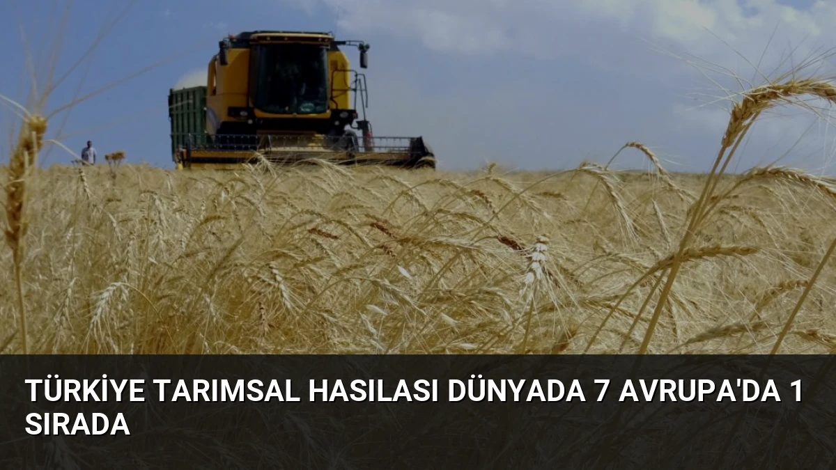 Türkiye Tarımsal Hasılası Dünyada 7 Avrupa’da 1 Sırada