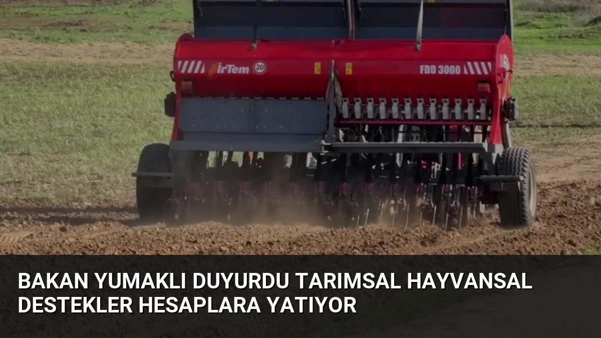 Bakan Yumaklı Duyurdu Tarımsal Hayvansal Destekler Hesaplara Yatıyor