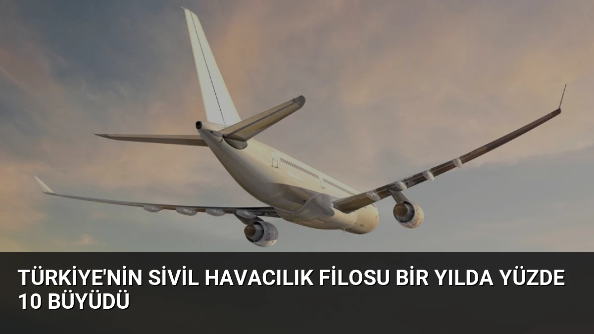 Türkiye’nin Sivil Havacılık Filosu Bir Yılda Yüzde 10 Büyüdü