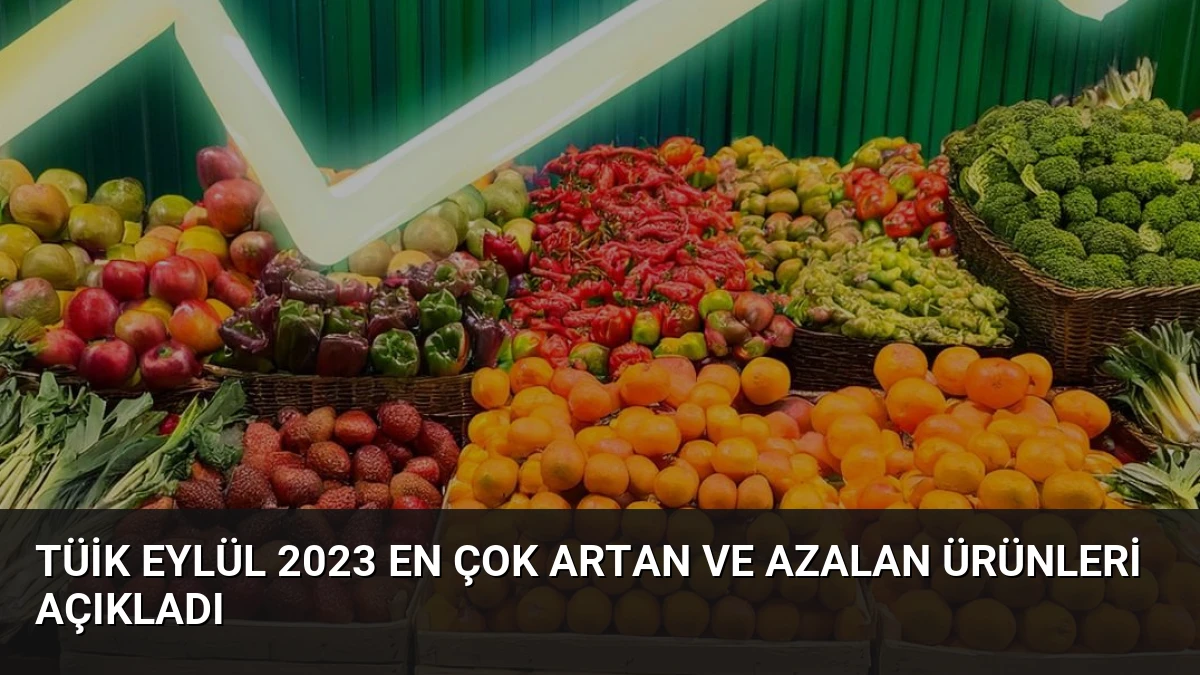 TÜİK Eylül 2023 En Çok Artan ve Azalan Ürünleri Açıkladı