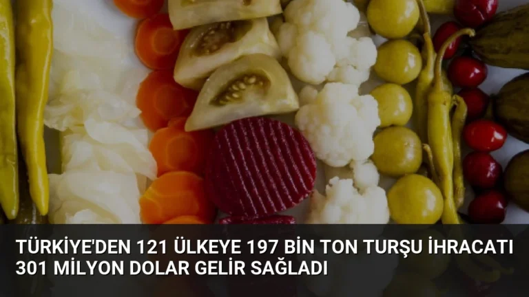 Türkiye’den 121 Ülkeye 197 Bin Ton Turşu İhracatı 301 Milyon Dolar Gelir Sağladı